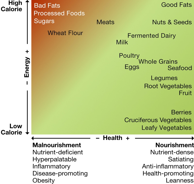 Nutrient Density/Health-Energy Graph