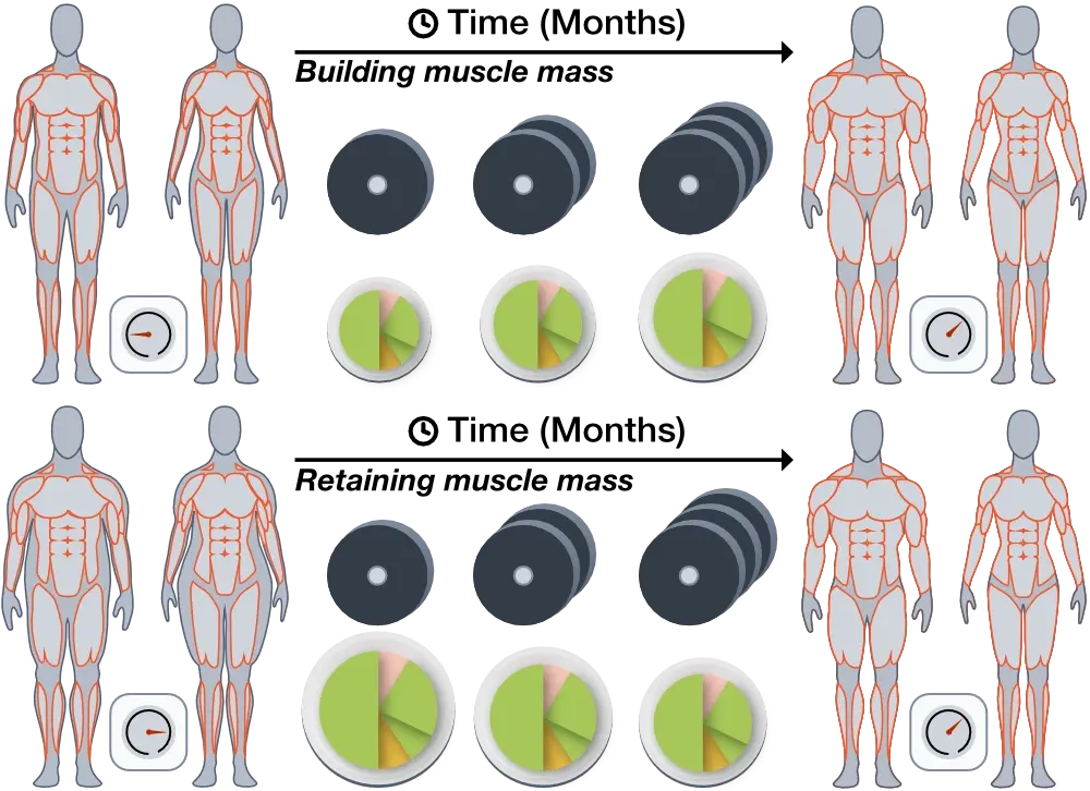 Progressive Overload